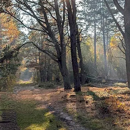 Wernerwald - Restaurant, Wellness & Events Ξενοδοχείο