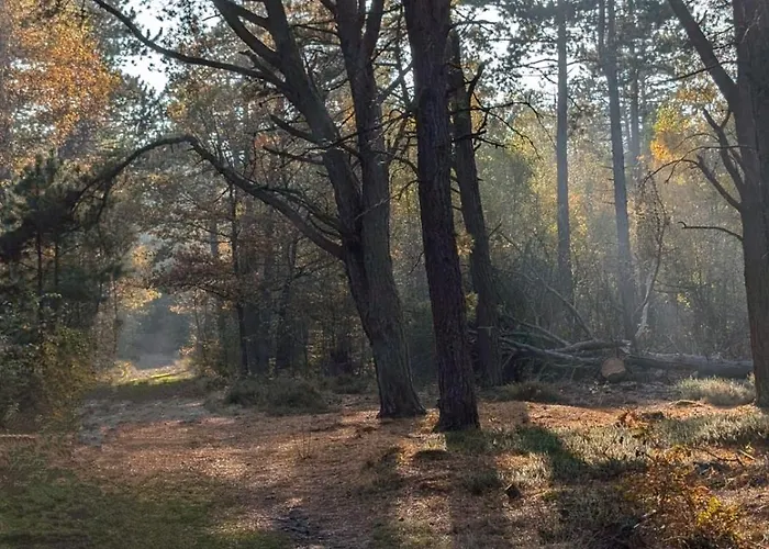 沃奈尔瓦尔德酒店 酒店